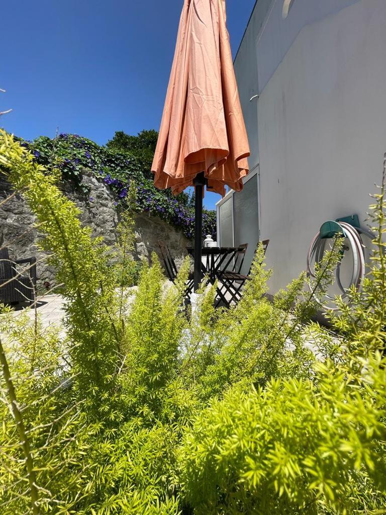 Burgaes II Apartment Porto Zewnętrze zdjęcie